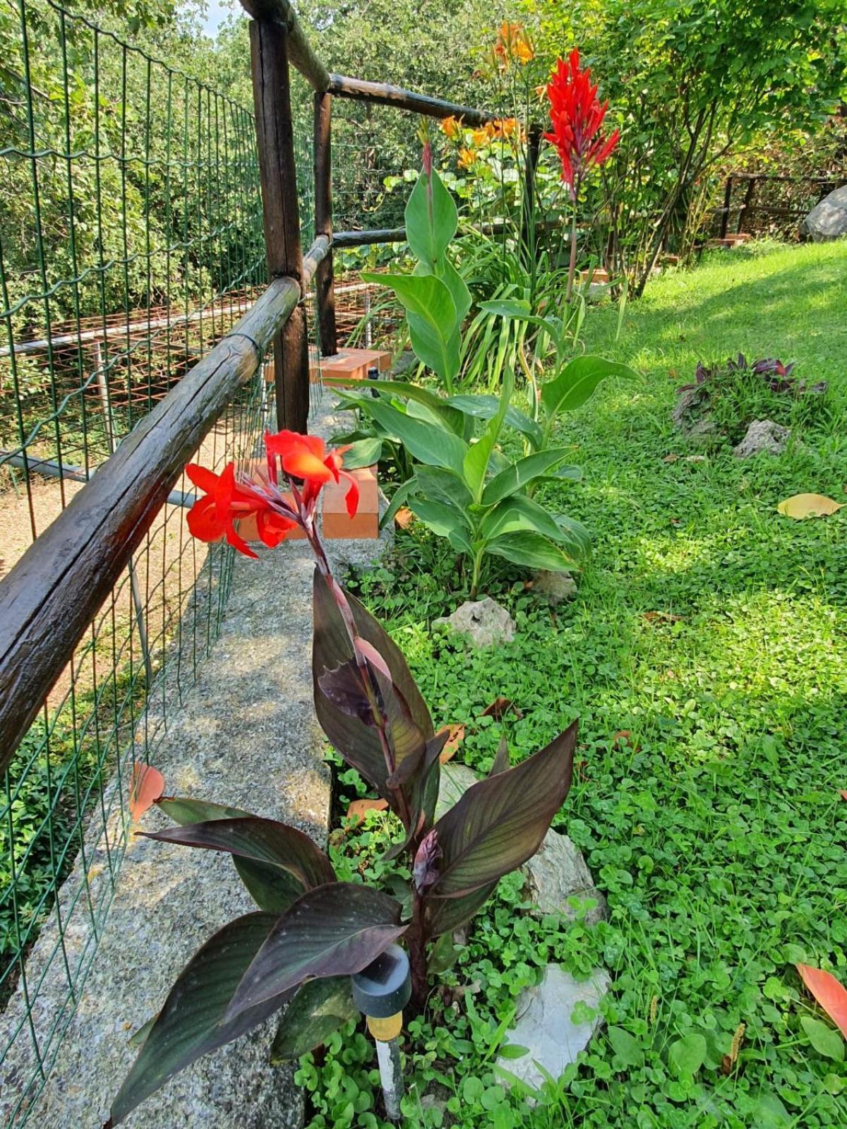 L'Uliveto D'Argento Bed & Breakfast Finale Ligure Exterior photo