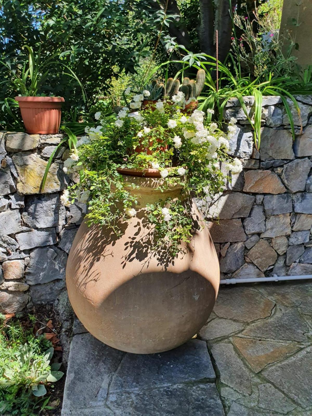 L'Uliveto D'Argento Bed & Breakfast Finale Ligure Exterior photo