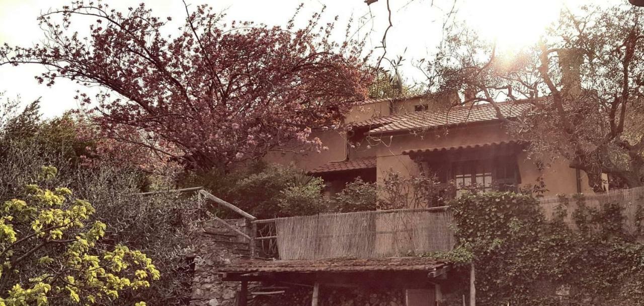 L'Uliveto D'Argento Bed & Breakfast Finale Ligure Exterior photo