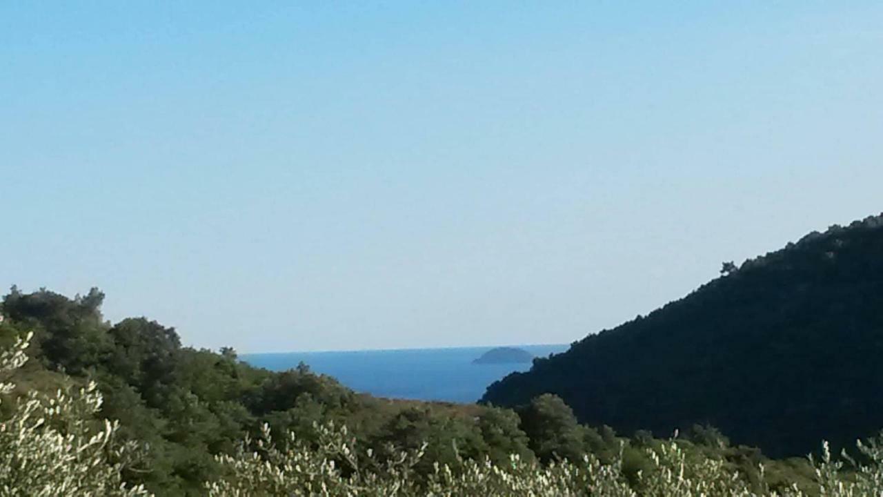L'Uliveto D'Argento Bed & Breakfast Finale Ligure Exterior photo